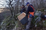Arbeit am Kasten - Foto Rudolf Boehm 01 10x13s