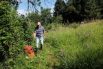 Mäheinsatz am Blütenhang Seeheim 5