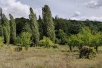 Wiese-südlich-Malchen-06-10x29s