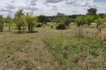 Wiese-südlich-Malchen-08-10x33s