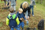 Kartoffelernte 11