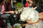 Kartoffelernte - Essen 5
