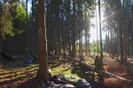 Lager am Morgen 05