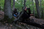 Rotwild im Wald - Tonspur
