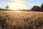 Sonnenaufgang 04