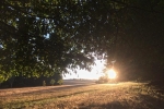 Sonnenaufgang 01