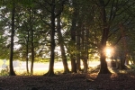 Sonnenaufgang 02