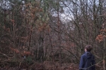Naturzaun am Waldweiher Malcher Tanne - Baum fällt 1