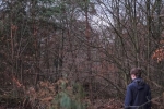 Naturzaun am Waldweiher Malcher Tanne - Baum fällt 2