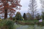 Schloßteich-Seeheim-06-10x24s