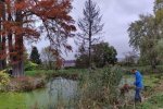 Schloßteich-Seeheim-36-10x23s