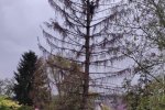 Schloßteich-Seeheim-Falkenkasten-12-10x18s
