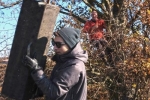 Kontrolle und Abbau von Steinkauzkästen bei Hähnlein 04 10x15s