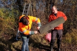 Kontrolle und Abbau von Steinkauzkästen bei Hähnlein 08 10x15s
