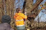 Kontrolle und Abbau von Steinkauzkästen bei Hähnlein 11 10x13s