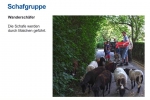 Folie06