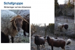 Folie11