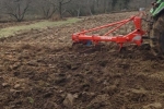 Götterbaumweide 5