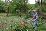 Einsatz Böckchenweide 20 10x15s