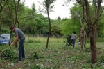 Einsatz Böckchenweide 31 10x41s