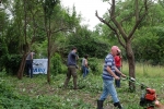 Einsatz Böckchenweide 8 10x15s