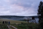 Pirschgang am Morgen 01
