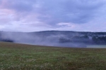 Pirschgang am Morgen 02