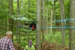 Baumnest 2