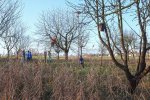 Aktion-Steinkauz-Hähnlein-12-10x16s