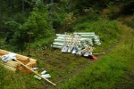Pflanzaktion der NAJU im Alsbacher Wald 02