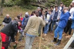 Pflanzaktion der NAJU im Alsbacher Wald 09