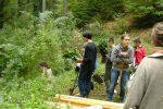 Pflanzaktion der NAJU im Alsbacher Wald 11