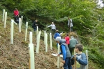 Pflanzaktion der NAJU im Alsbacher Wald 12