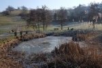 Auweiher 1