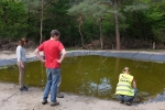 Amphibienteich-Malcher-Tanne-01-10x16s