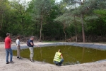 Amphibienteich-Malcher-Tanne-03-10x15s