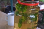 Tag-der-Artenvielfalt-04-Grüner-Tee-mit-Minze-10x15s