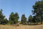 Einsatz Bienenweide 09