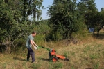 Einsatz Bienenweide 03