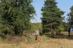 Einsatz Bienenweide 08