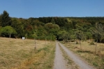 Kirschgarten giessen 2