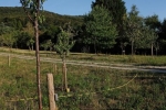 Kirschgarten giessen 4