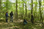Pilze finden 2