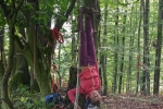 Kletterbaum 10