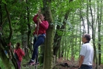 Kletterbaum 04