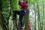 Kletterbaum 05