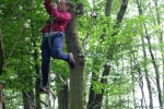 Kletterbaum 06