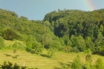 Regenbogen 02