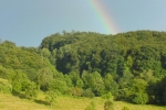 Regenbogen 03