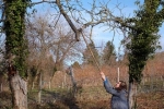 Einsatz Im Hakel 15 Toter Nussbaum 10x15s